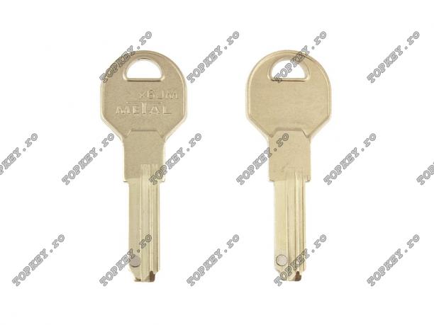 Groapă de plantă Metal cu magnet de TOPKEY.ro