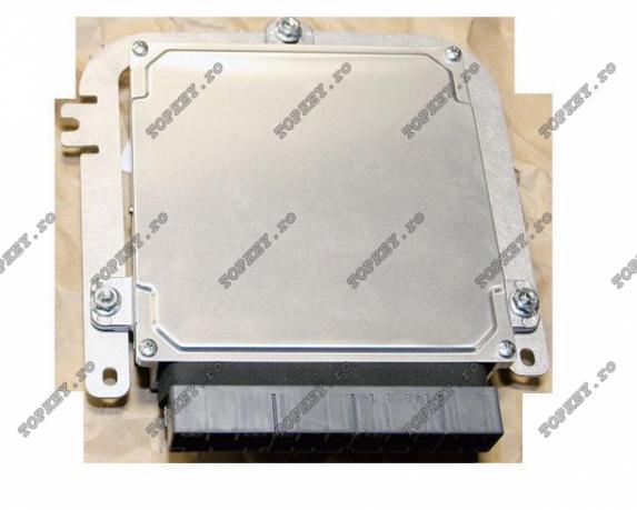 Modulul 173 de TOPKEY.ro