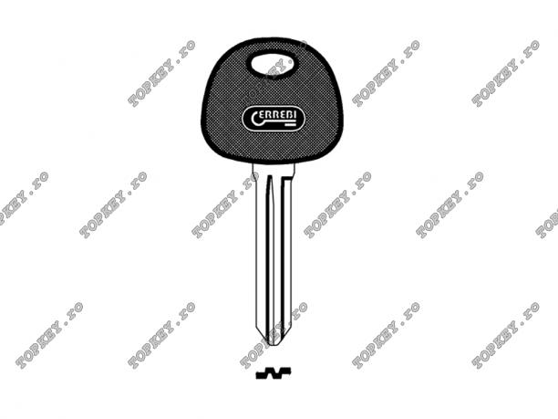 cheie auto cu plastic de TOPKEY.ro