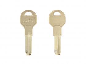 Groapă de plantă Metal cu magnet de TOPKEY.ro