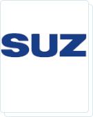 Suzuki chei auto